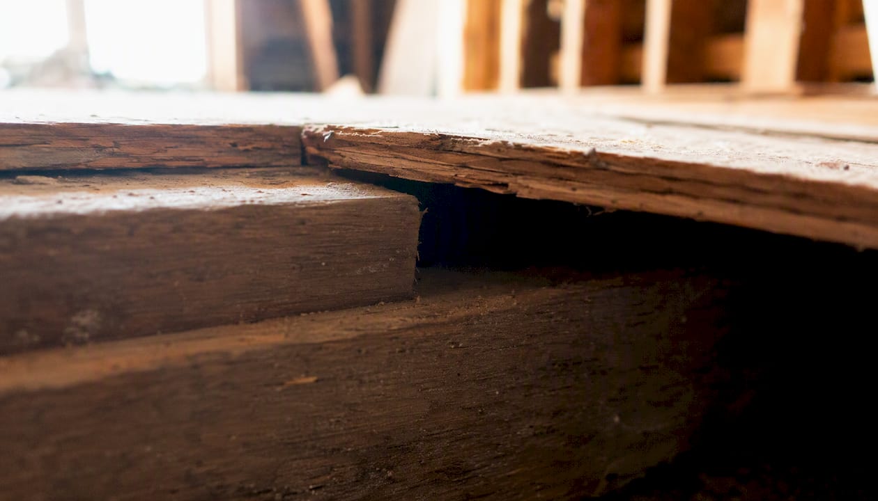 Gap between subfloor panel and joist wood edge